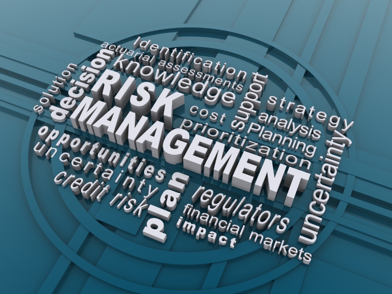Getting Started with Enterprise Cyber Risk Management (ECRM) |  Overseeing the Development of Your ECRM Framework and Strategy