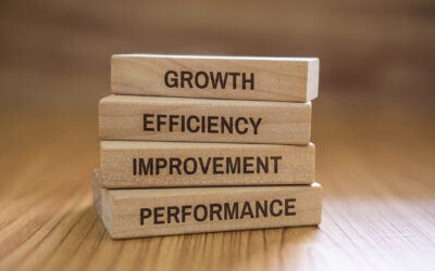 The Strategic Value of Enterprise Cyber Risk Management (ECRM)